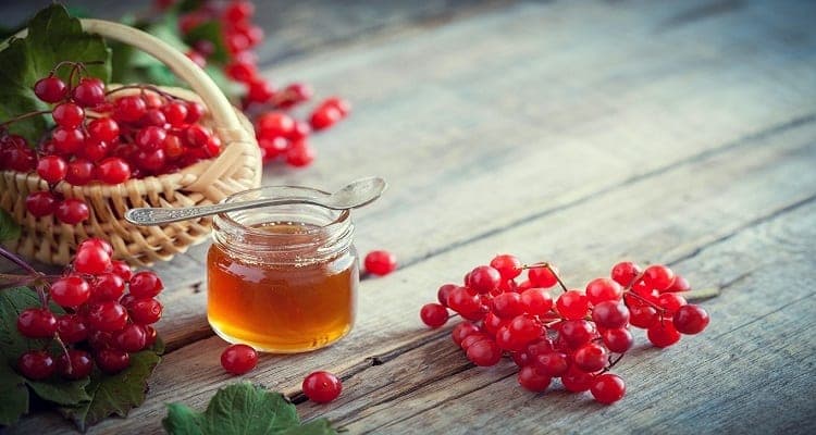 Jagat Pharma expands nutra portfolio with six wellness supplements