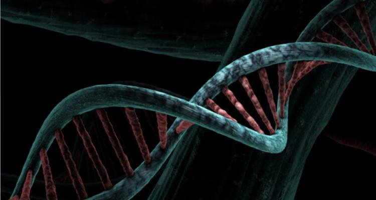 Leucine Rich Bio launches enhanced BugSpeaks Skin Microbiome Test 2026 edition