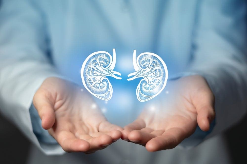 Mironid banks $46m in Series B to take rare kidney disease drug closer to clinic