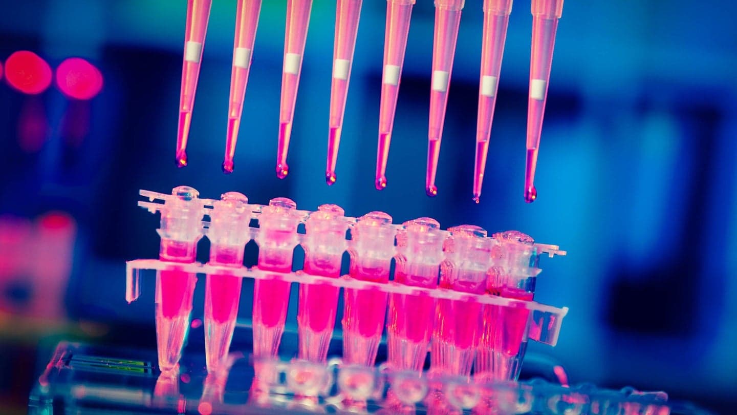 Boehringer and Envisagenics to develop precision cancer therapies in $1bn deal