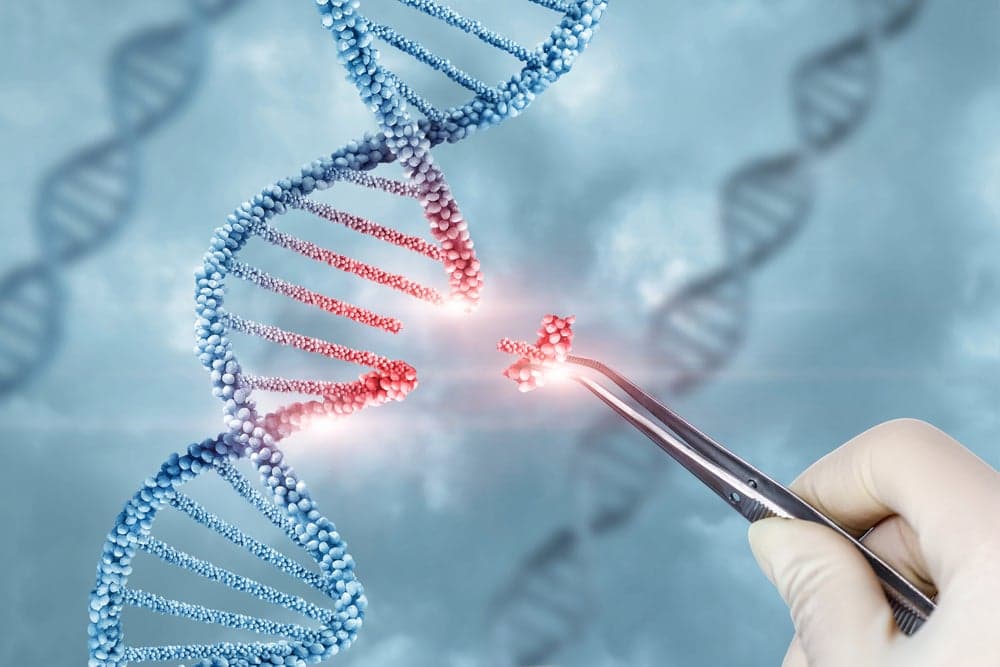 Typewriter raises $56m Series A to progress non-viral gene therapy platform