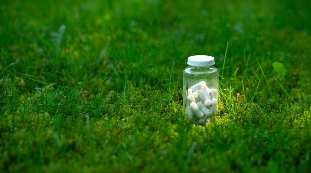 Pineapples and green tea: FDA turns to public for new approaches to botanical drugs
