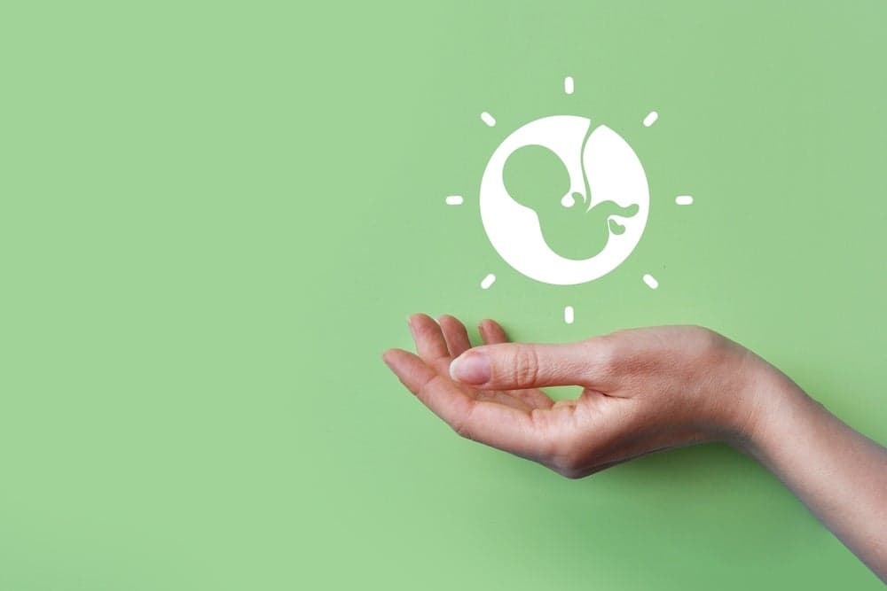 Ferring bets on Gametoâs reproductive health solution through $1.38bn takeoverÂ