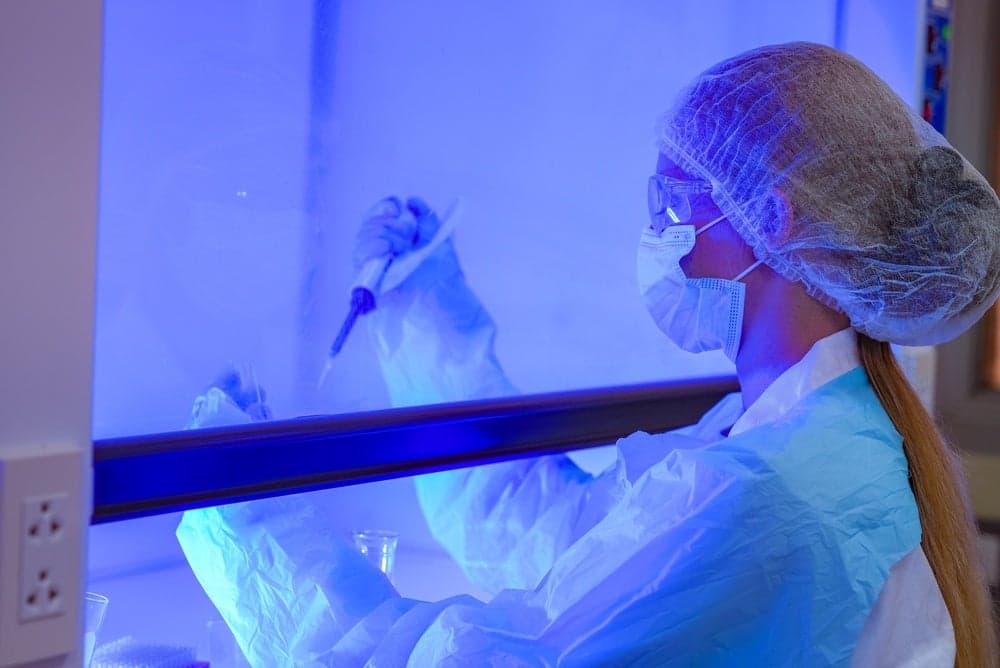 Suspected plague outbreak in Russia: public health risk lower than Covid-19