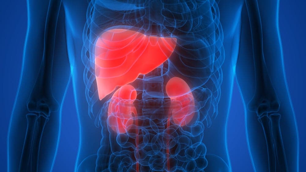 CSL and Alentis ink $1.5bn partnership to progress antifibrotic drug Â